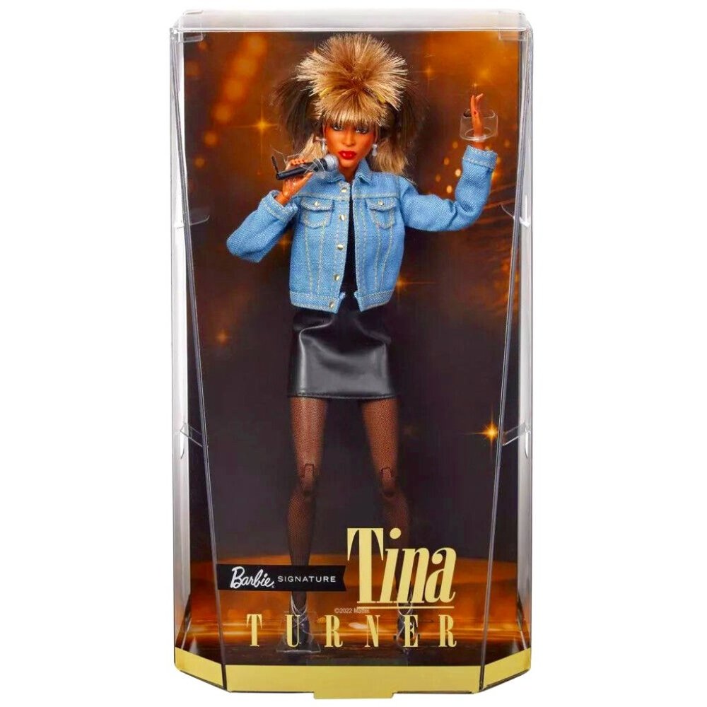 Tina Turner Barbie Doll - New Unopened Box